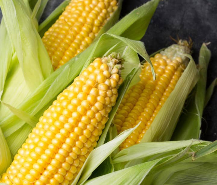 Maize farming