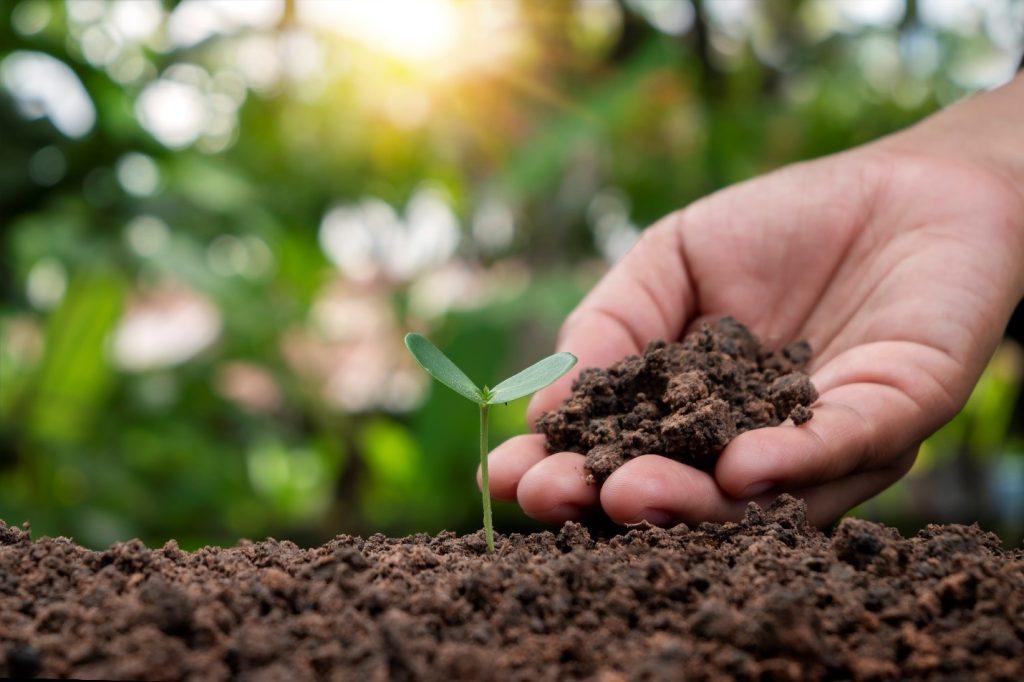 Sustainable farming
