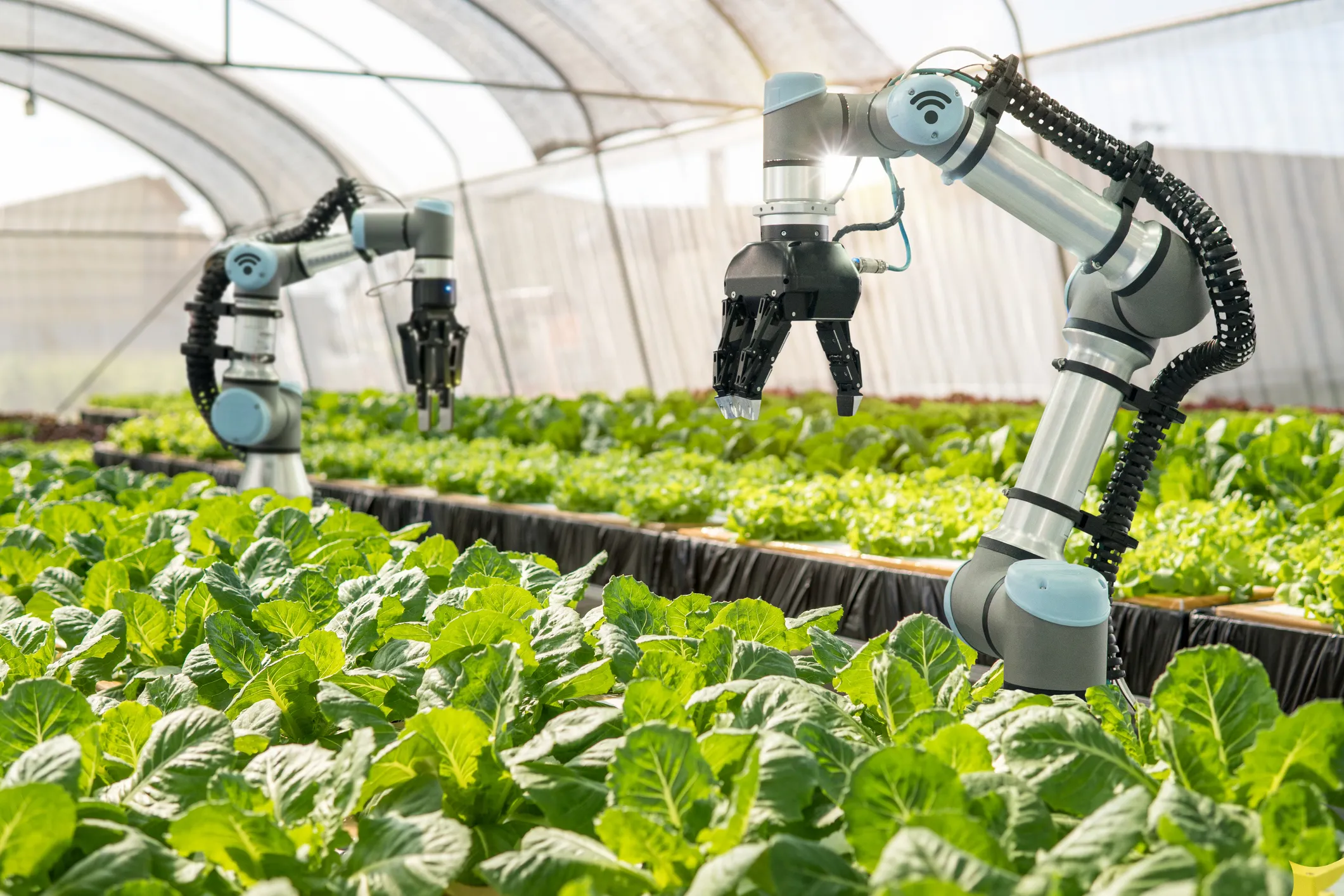 Farm technology